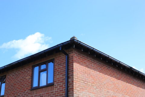 Gutter Cleaning & Repairs Nuthampstead