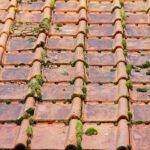 Roof cleaning services St Albans
